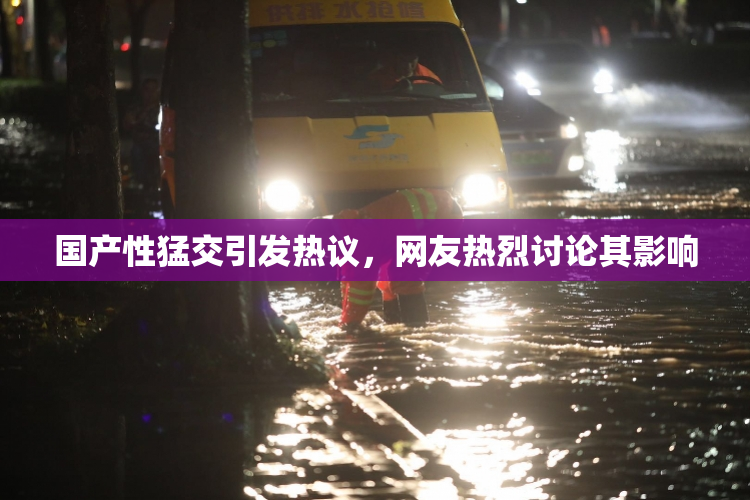 国产性猛交引发热议，网友热烈讨论其影响