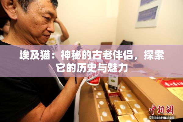 埃及猫：神秘的古老伴侣，探索它的历史与魅力