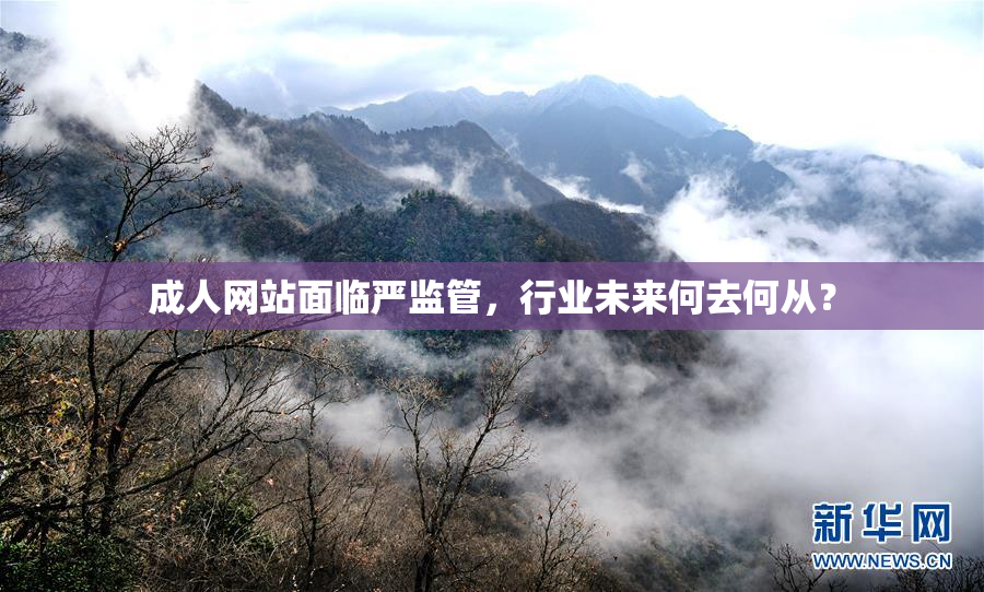 成人网站面临严监管，行业未来何去何从？