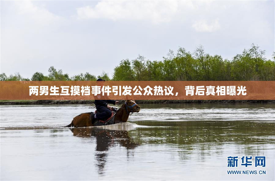两男生互摸裆事件引发公众热议，背后真相曝光
