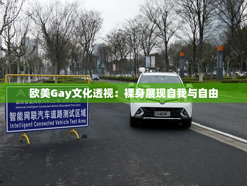 欧美Gay文化透视：裸身展现自我与自由
