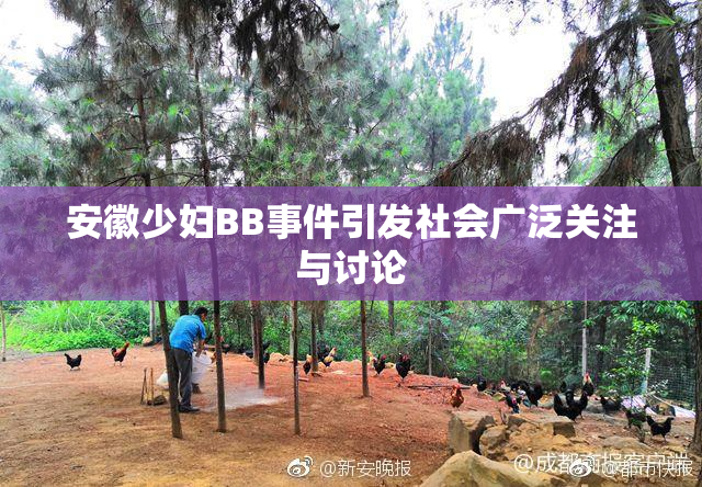 安徽少妇BB事件引发社会广泛关注与讨论