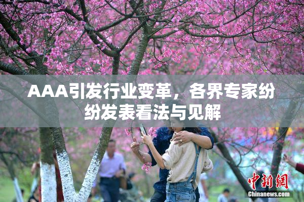 AAA引发行业变革，各界专家纷纷发表看法与见解