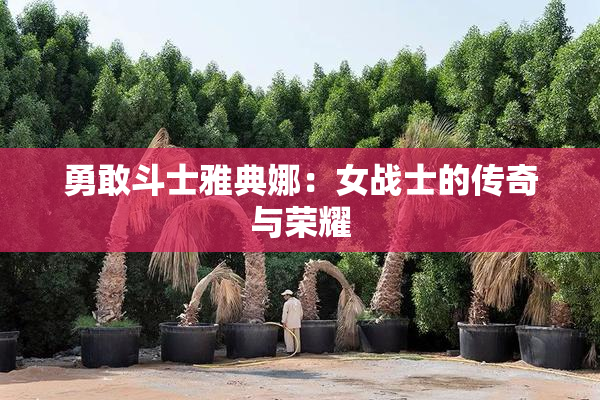 勇敢斗士雅典娜：女战士的传奇与荣耀