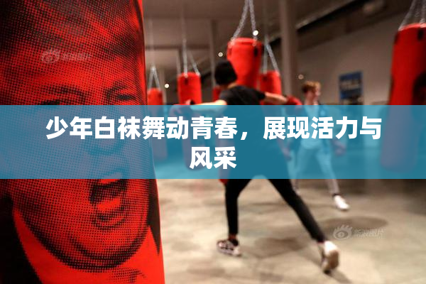 少年白袜舞动青春，展现活力与风采