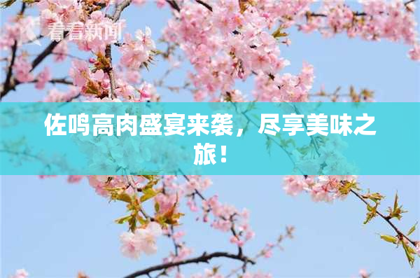 佐鸣高肉盛宴来袭，尽享美味之旅！