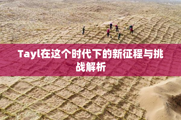 Tayl在这个时代下的新征程与挑战解析