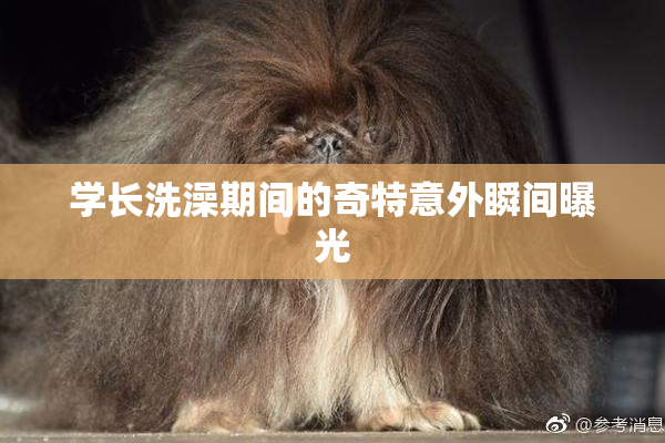 学长洗澡期间的奇特意外瞬间曝光
