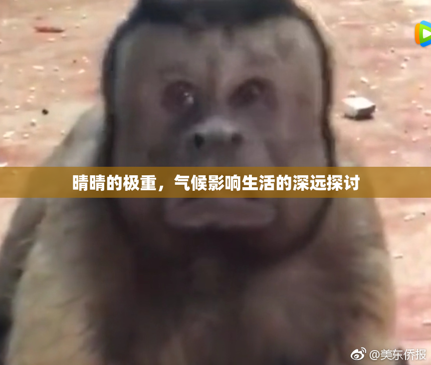 晴晴的极重，气候影响生活的深远探讨