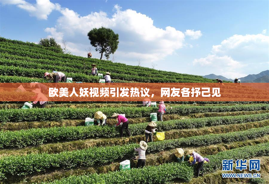 欧美人妖视频引发热议，网友各抒己见