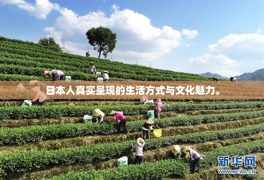 日本人真实呈现的生活方式与文化魅力。
