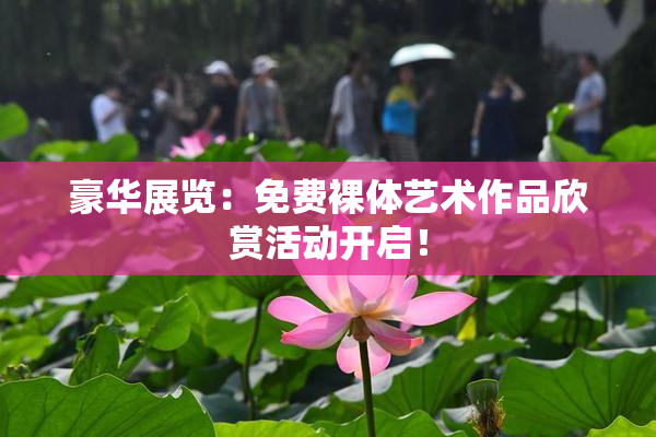豪华展览：免费裸体艺术作品欣赏活动开启！