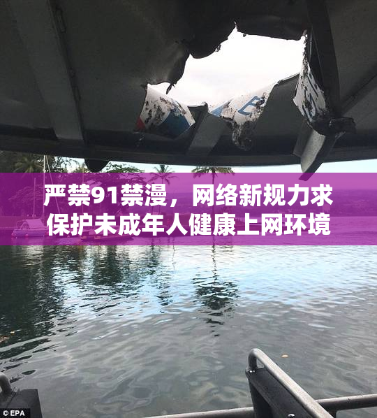 严禁91禁漫，网络新规力求保护未成年人健康上网环境