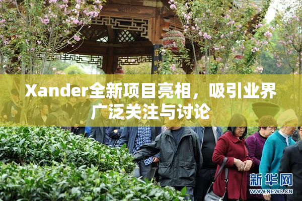Xander全新项目亮相，吸引业界广泛关注与讨论
