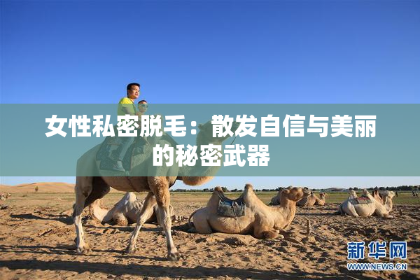 女性私密脱毛：散发自信与美丽的秘密武器