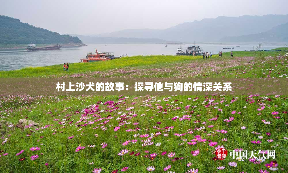 村上沙犬的故事：探寻他与狗的情深关系