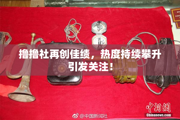 撸撸社再创佳绩，热度持续攀升引发关注！