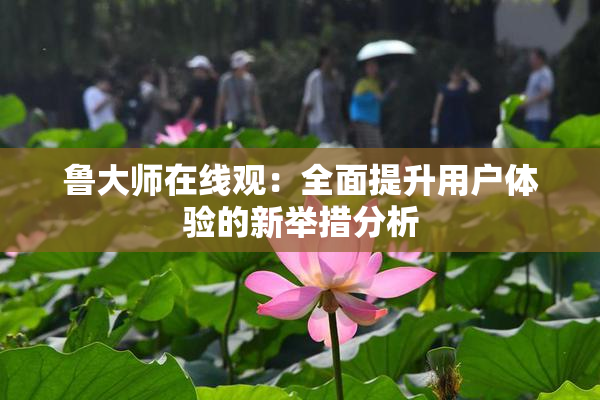 鲁大师在线观：全面提升用户体验的新举措分析