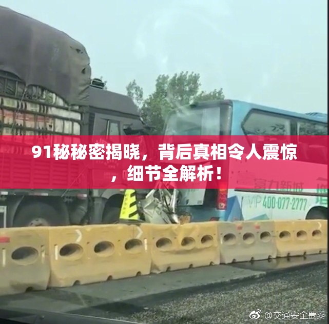 91秘秘密揭晓，背后真相令人震惊，细节全解析！