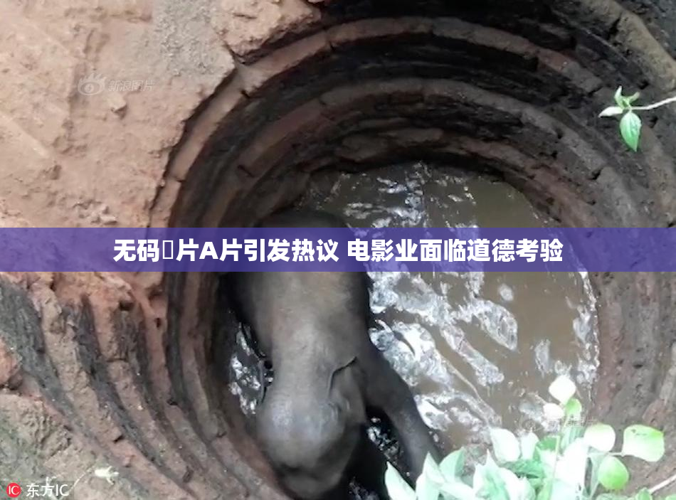 无码婬片A片引发热议 电影业面临道德考验