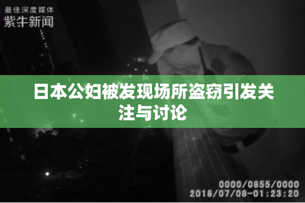 日本公妇被发现场所盗窃引发关注与讨论