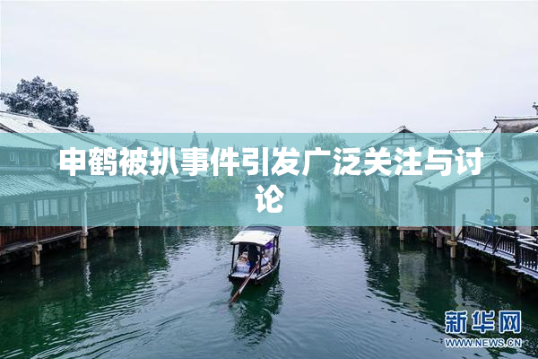 申鹤被扒事件引发广泛关注与讨论