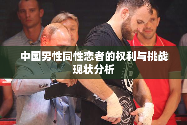 中国男性同性恋者的权利与挑战现状分析