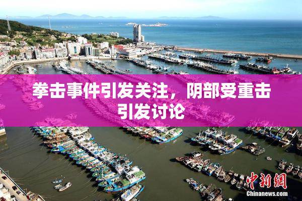 拳击事件引发关注，阴部受重击引发讨论
