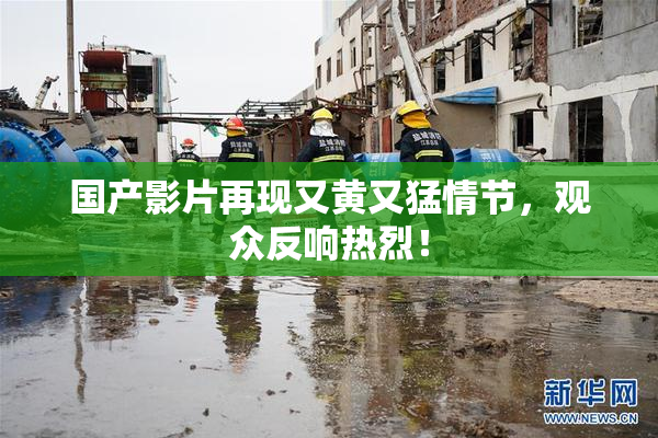 国产影片再现又黄又猛情节，观众反响热烈！