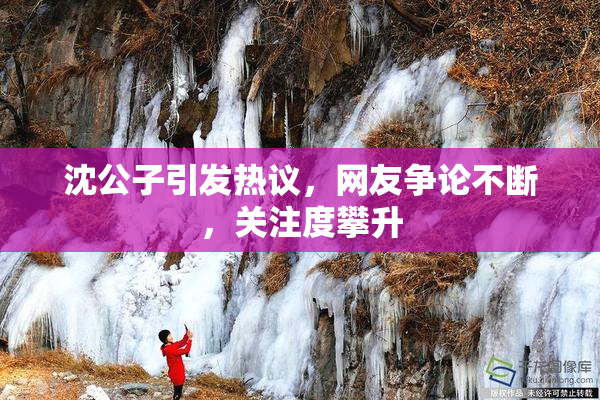 沈公子引发热议，网友争论不断，关注度攀升
