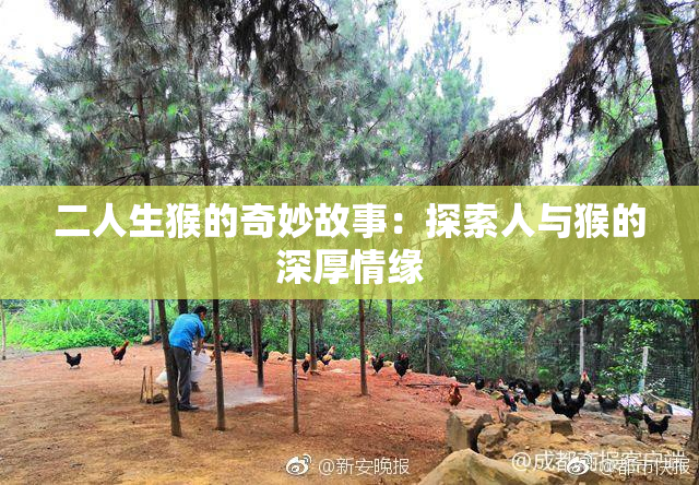 二人生猴的奇妙故事：探索人与猴的深厚情缘