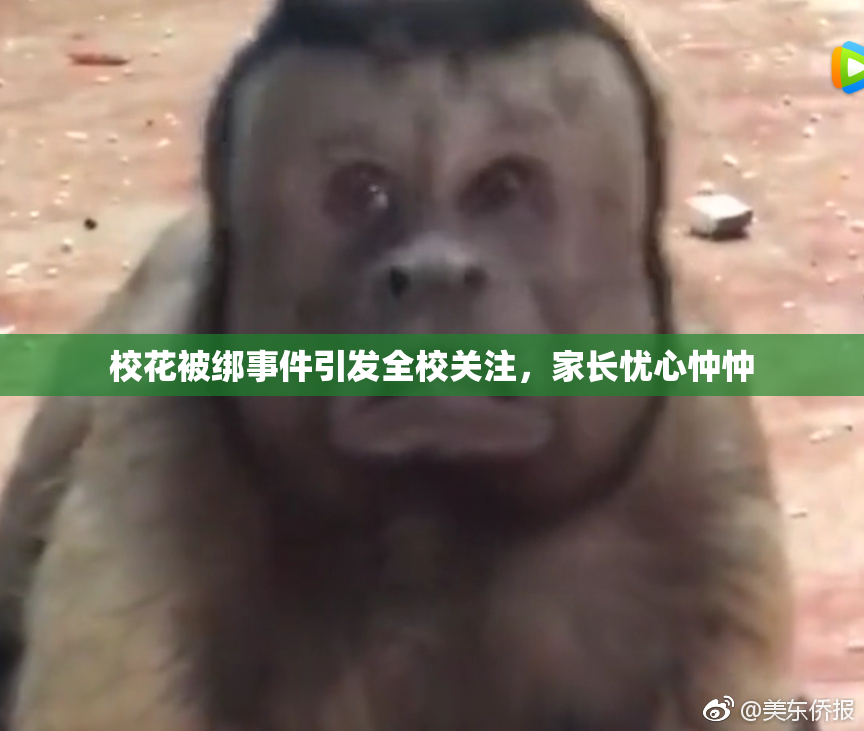 校花被绑事件引发全校关注，家长忧心忡忡