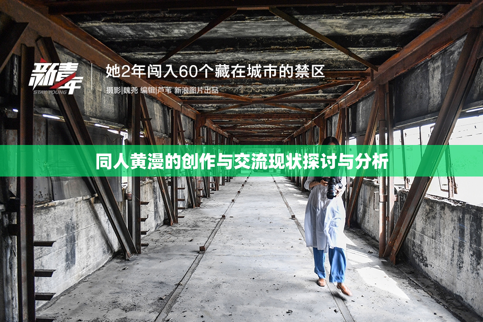同人黄漫的创作与交流现状探讨与分析