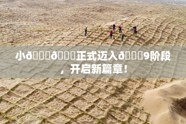 小🐔🐔正式迈入🍑9阶段，开启新篇章！