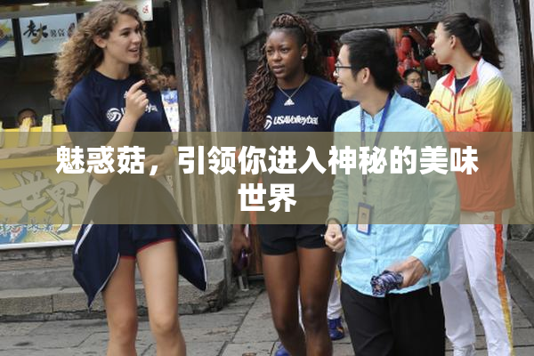魅惑菇，引领你进入神秘的美味世界