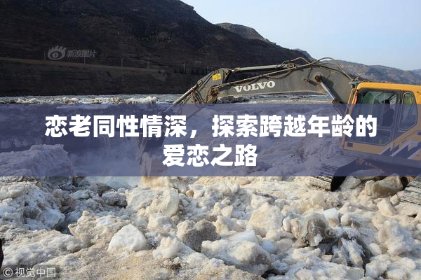 恋老同性情深，探索跨越年龄的爱恋之路