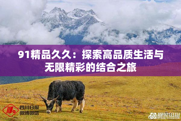 91精品久久：探索高品质生活与无限精彩的结合之旅