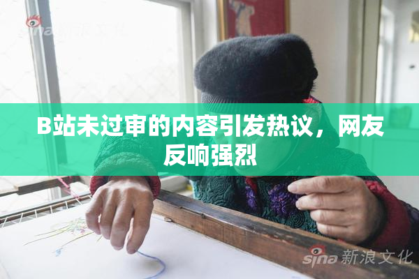 B站未过审的内容引发热议，网友反响强烈