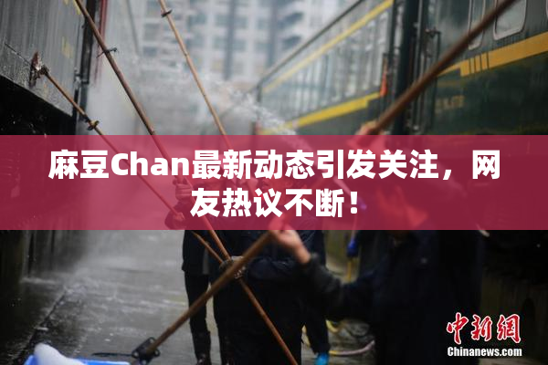 麻豆Chan最新动态引发关注，网友热议不断！