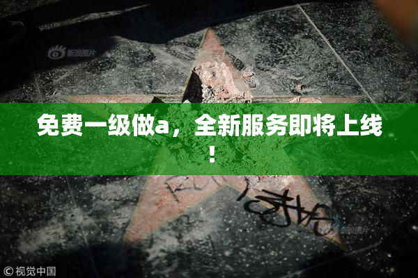 免费一级做a，全新服务即将上线！