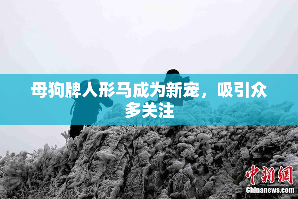 母狗牌人形马成为新宠，吸引众多关注