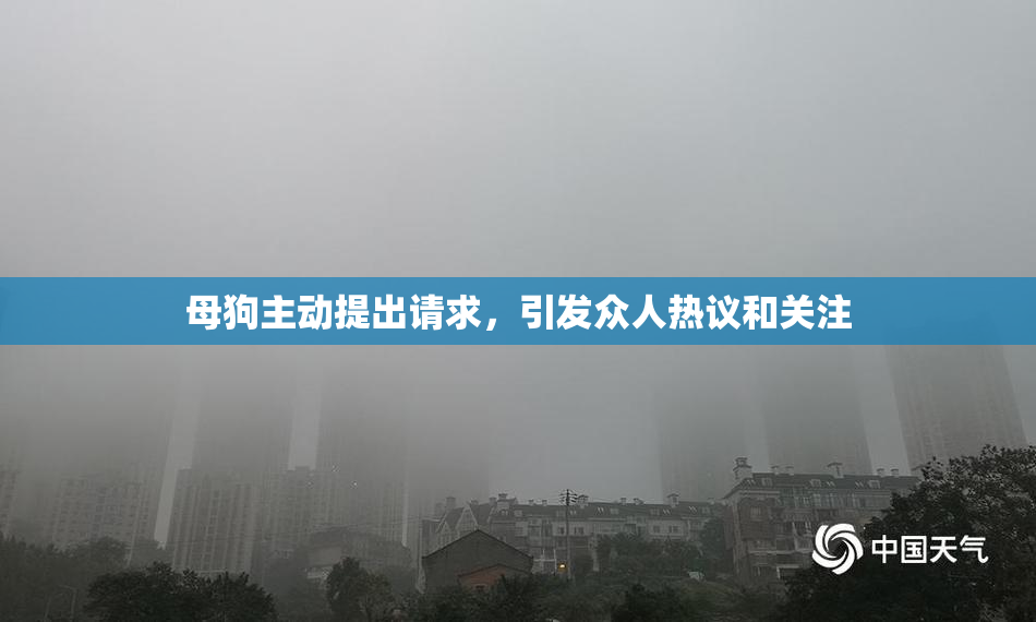 母狗主动提出请求，引发众人热议和关注