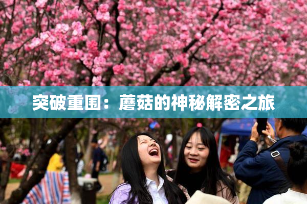 突破重围：蘑菇的神秘解密之旅