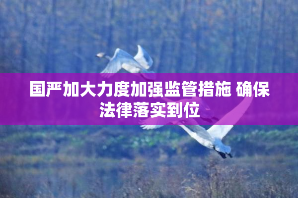 国严加大力度加强监管措施 确保法律落实到位