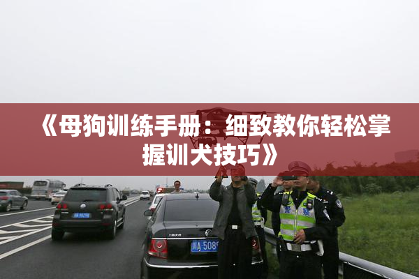 《母狗训练手册：细致教你轻松掌握训犬技巧》