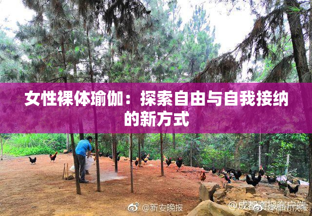 女性裸体瑜伽：探索自由与自我接纳的新方式