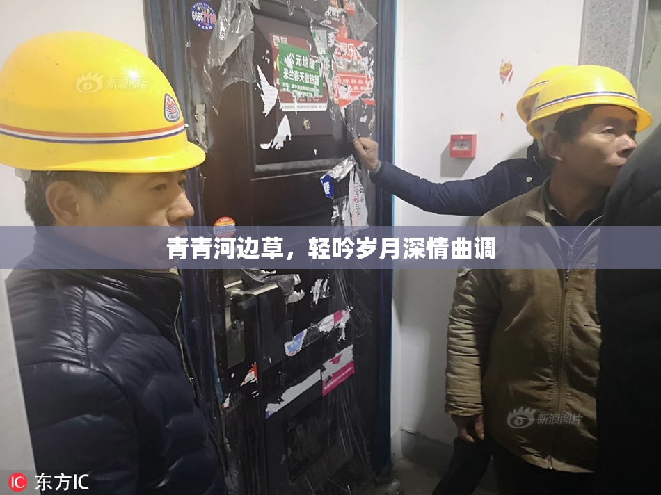 青青河边草，轻吟岁月深情曲调