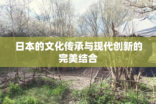 日本的文化传承与现代创新的完美结合