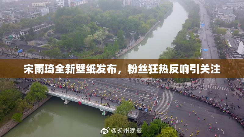 宋雨琦全新壁纸发布，粉丝狂热反响引关注