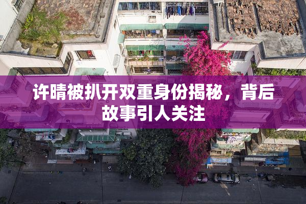 许晴被扒开双重身份揭秘，背后故事引人关注